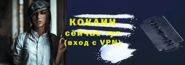 MESCALINE Бородино